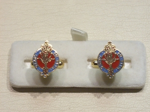 Welsh Guards enamelled cufflinks - Click Image to Close